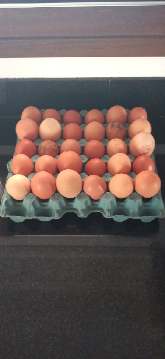 Producción de la semana!