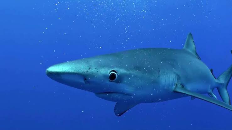 bbuddy whats wrong... cmon bud its okay.... there are other fish in the sea...