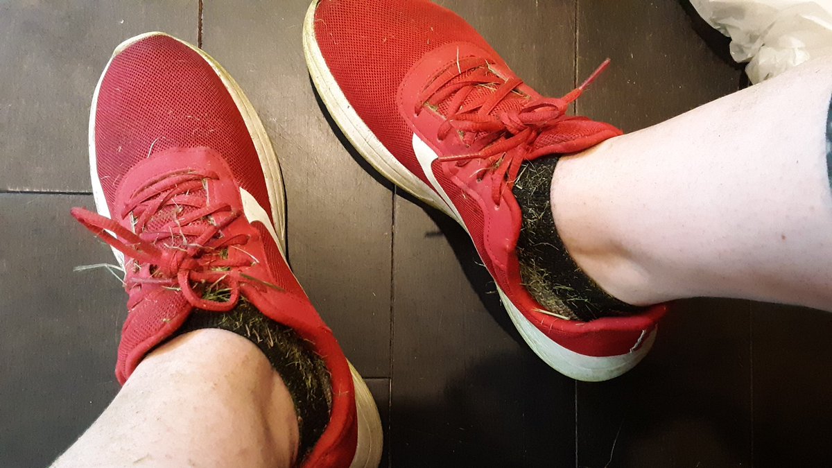 feetgodex's tweet photo. Yard work has my feet a sweaty mess #FeetsForTheStreets #Feet #sweatysocks #socks #fetish #feetlove #sellingcontents https://t.co/o7DmqSv7Gf