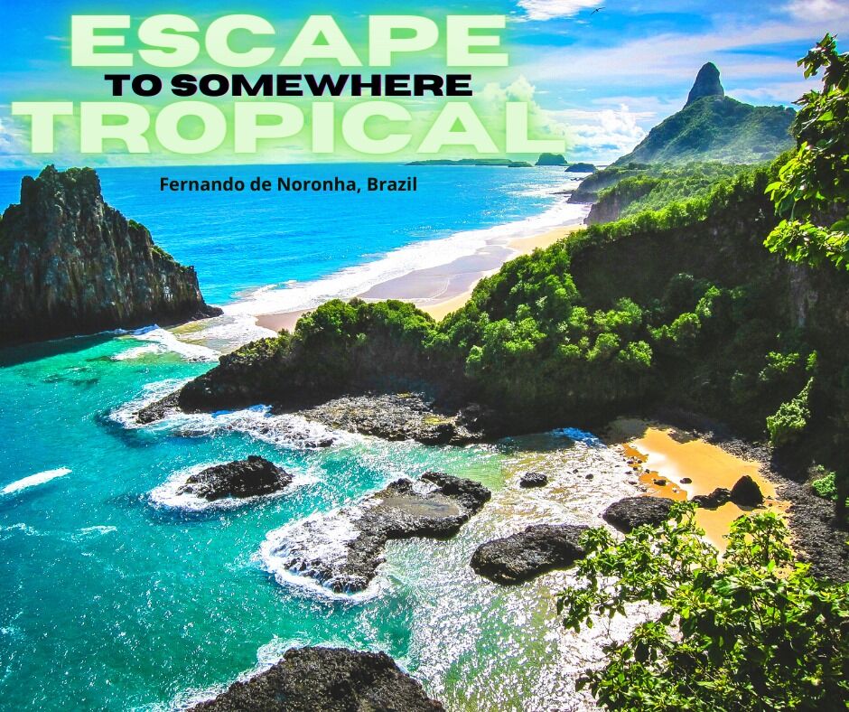 Elizabeth_Aniol's tweet photo. Escape to Brazil's luxury paradise! It earned a UNESCO World Heritage Site title in 2001 because of the importance of its environment. #instapassport #mytinyatlas #instatraveling #visiting #mytravelgram #igtravel #tourist #tourism #travelingram #instago #travelling #travelblog https://t.co/309fuHKPV0