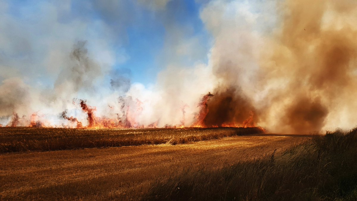 BRWGroningen's tweet image. Veiligheidsregio Groningen heeft het natuurbrandrisico in de provincie #Groningen verhoogd van fase 1 naar fase 2. Wat dat betekent, lees je hier: 
brandweer.nl/groningen/nieu…