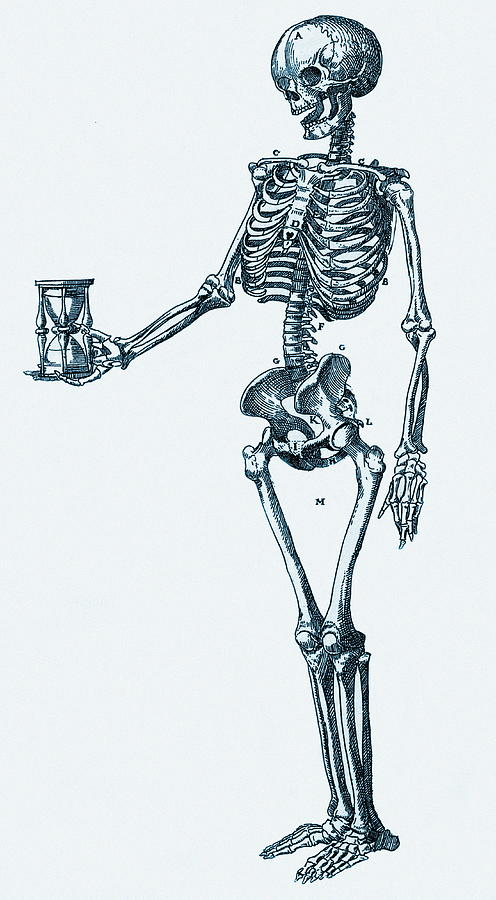 Everyone waiting to buy the  $BAL dip