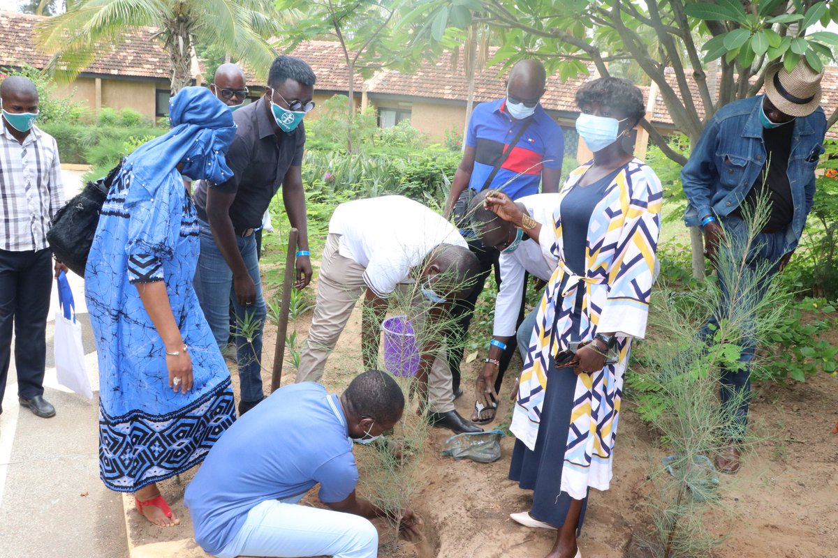 endaenergylinks's tweet photo. 🇸🇳Les journalistes🎙de la Petite Cote ont célébré ce 09 Aout 2020 la journée nationale de l'arbre🌳 après quelques jours d'atelier qui ont permis de les outiller sur les basiques du changement climatique et de la citoyenneté.
#MbalitNaSet #JournéeNationaleDeLarbre. https://t.co/rNN9eDEISD