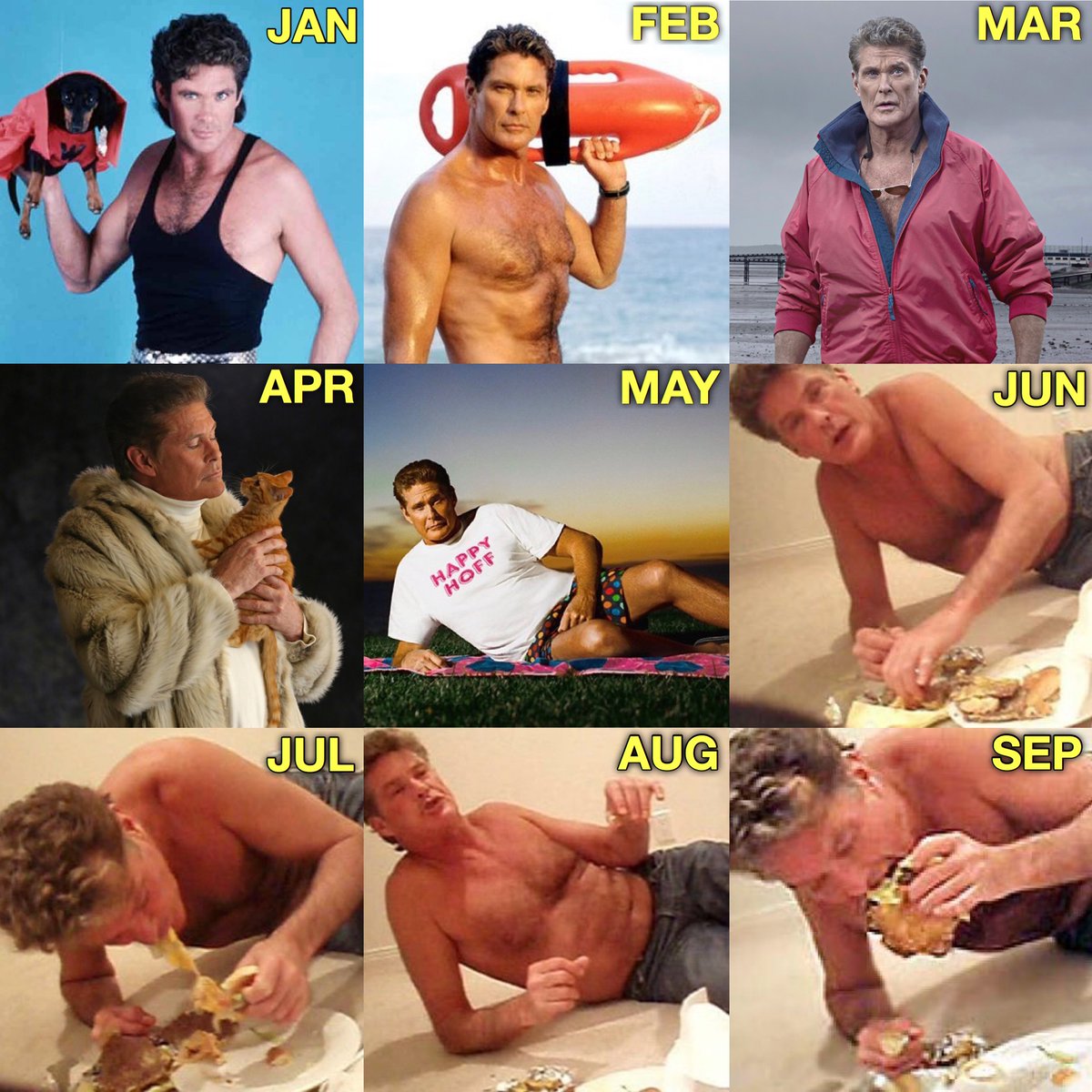 JuliaCelley's tweet photo. Haven’t seen any #hasselhoff #meltdown versions of this yet so here. Happy #2020. Try not to die. https://t.co/LVaqa1Huzp