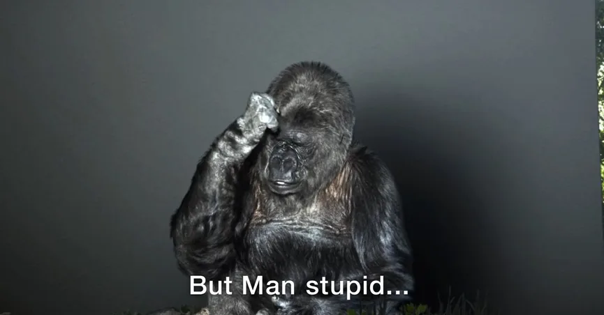 HHMU_Banksia's tweet photo. #KoKo on #Trump...
#DumbAsARockYouSay!
#NeverHeardOf #TheStonePeople!
#NumptyTrumpty!
#DumpTheTrump & #SaveThePlanet
#TheReturnOfTheRainbowWarriors
#MitakuyeOyasin ~ #OneFamilyTREE
@MLaura54 @gladhill_in @mikecoulson48 @logen31z @H46688622Hawk https://t.co/85iVweLtAR