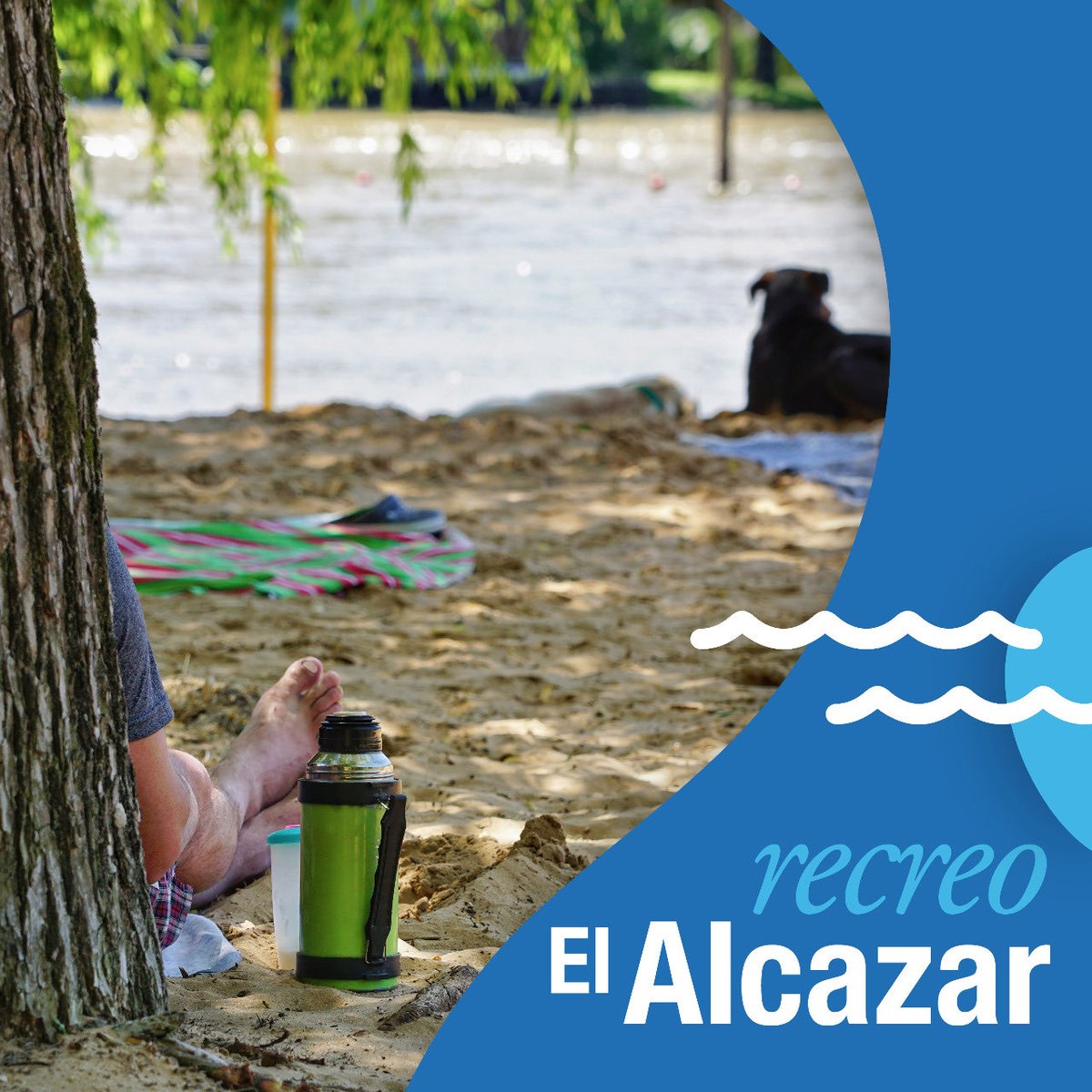 P R O M O 🔥🎉.
☝🏼Primer plan después de la cuarentena 👉🏼 pasar el día en el Alcazar 😍.
❣️Conseguí el traslado y la entrada al Recreo con un súuuuuper descuento en sturlaviajes.tur.ar.