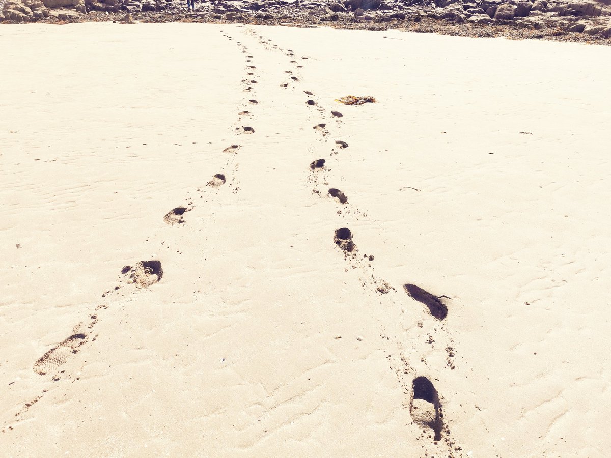 Exclamation Marketing tweet media