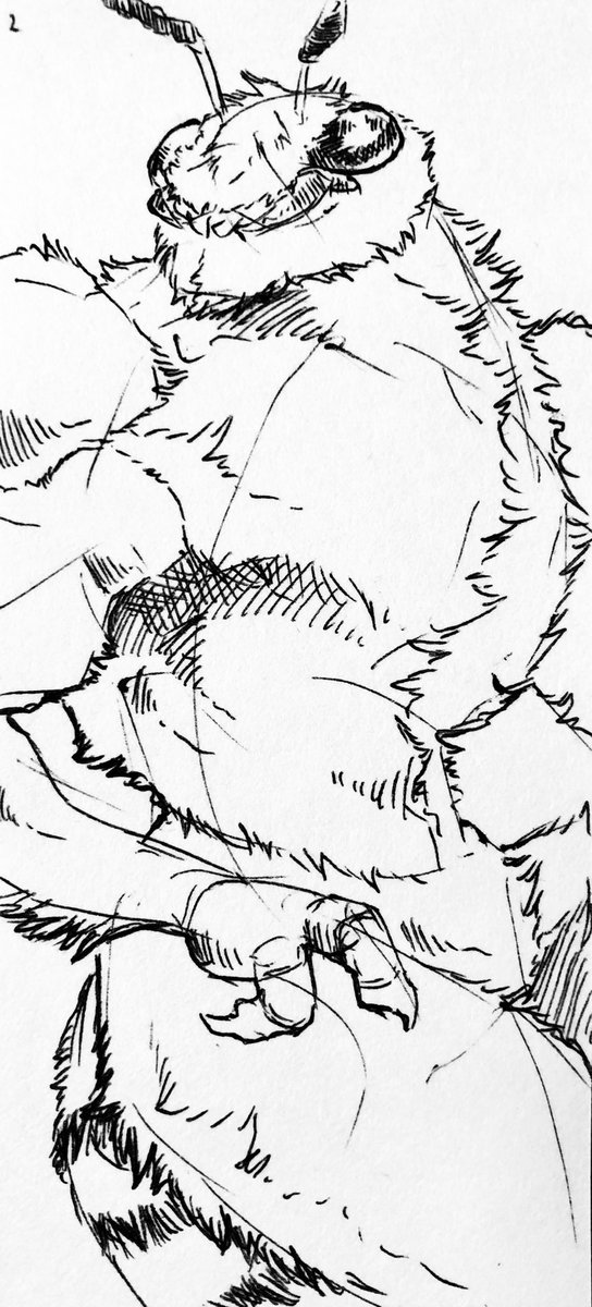 LupeSilverwind's tweet photo. Lupe’s drawing tips:
•Put a couple lines down to block block in the major forms
•Add detail https://t.co/EM0P3C76cq