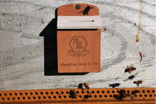 Limportant_fr's tweet image. Un apiculteur envoye par la Poste des milliers de graines de fleurs dans toute la France pour lutter contre la disparition des abeilles. L'opération est un véritable succès limportant.fr/infos-selectio… #Rediff