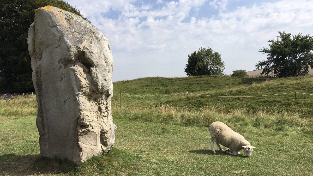 Rob Jones tweet media