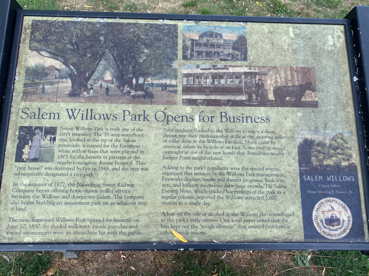 Salem Willows. An interesting lesson in how transportation policy has spillover effects. Decades ago, this was the northern terminus of the train line from Boston. An amusement park, including ferris wheel, roller coaster, and carousel grew up at the water's edge