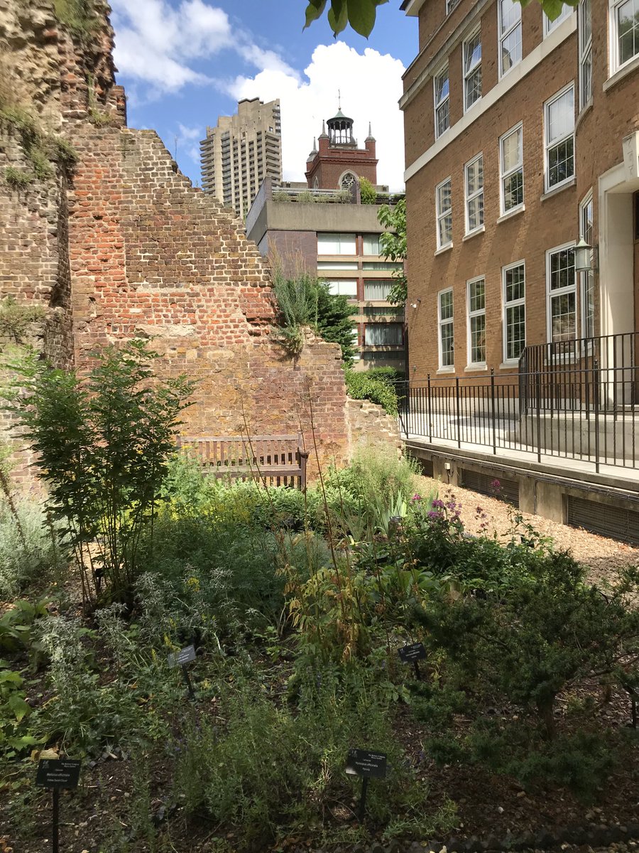 GowmanAJ's tweet photo. A joy to drop by #BarbersLivery herb garden secluded in the Barbican #Cityisopen https://t.co/pY2y3LKBqY