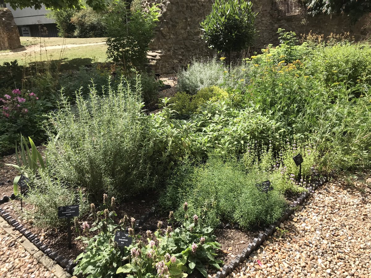 GowmanAJ's tweet photo. A joy to drop by #BarbersLivery herb garden secluded in the Barbican #Cityisopen https://t.co/pY2y3LKBqY