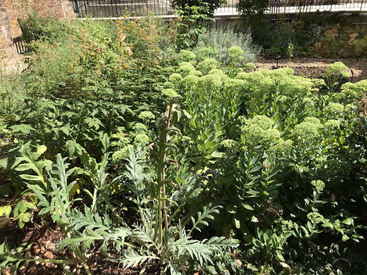 GowmanAJ's tweet photo. A joy to drop by #BarbersLivery herb garden secluded in the Barbican #Cityisopen https://t.co/pY2y3LKBqY