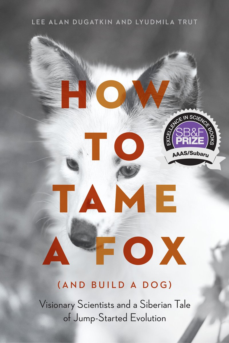 🦊 'It aimed to rerun the evolutionary process that led to the domestication of dogs, but in real time, using the fox as a stand-in for the wolf.' @LeeDugatkin on the experiment profiled in his book: fcld.ly/7zmfk67 #SubaruLovesLearning #SummerReading @UChicagoPress