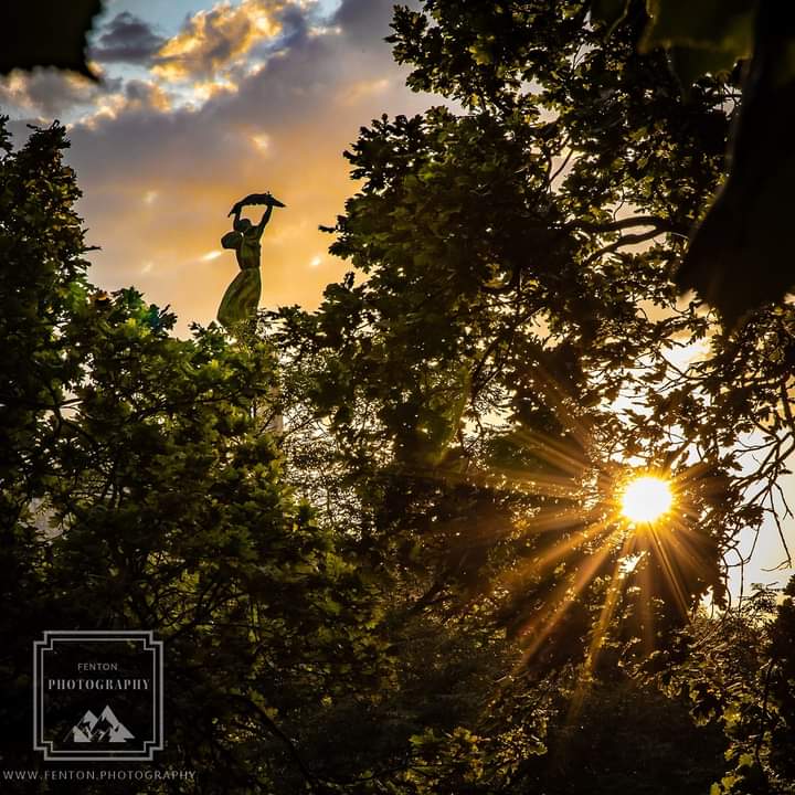 kyblueblood's tweet photo. Fenton Photography -
The Liberty Statue in silhouette at sunrise. #statue #liberty #sunrise #trees #sunflair #trees #budapast #hungary #citadella https://t.co/tlvcs0BGmV