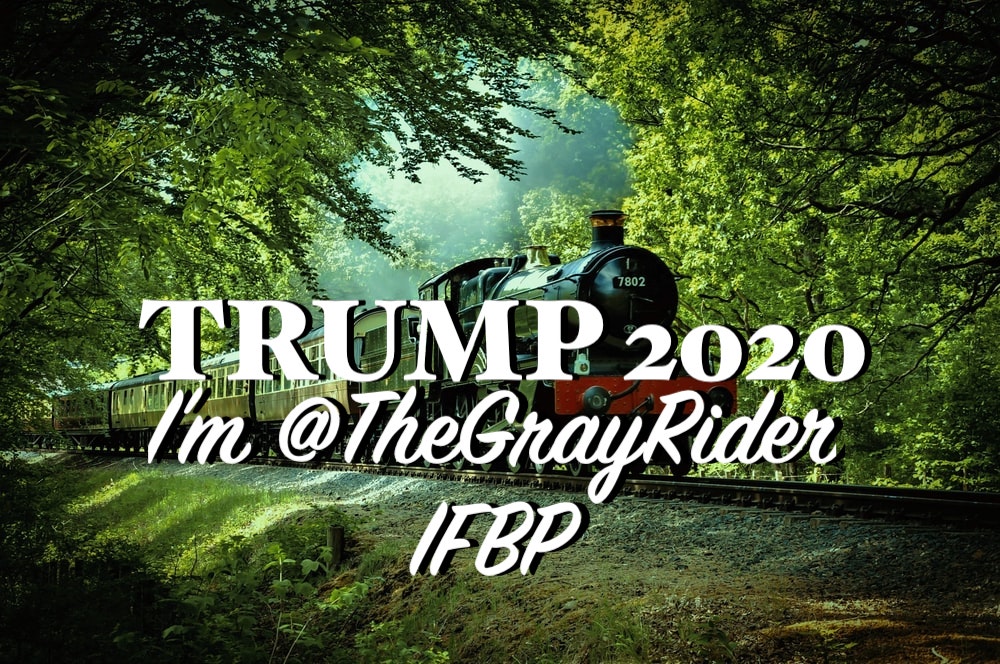 🚂@RL9631 @Preciouslindy @PierattChris @__Kimberly1 @EricJSwensson @FrozenFlash99 @tweeterrhw @YLinnerud @Ytweek1 @BrexitLondon @RedeemingRose @Savingrace_ @GGlocksX @Unyielding5 @Mod4USA @TheDamascusPush @TheGrayRider 🚃🇺🇸 #MAGAROLLERCOASTER #ENATIONTRAINS #MAGAQUEENTRAINS