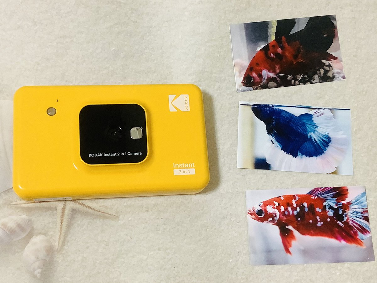 okaki_yume's tweet image. 歴代のベタをプリントしてみた。
ミニプリントかわいい
#kodak
#kodakInstant
#コダック
#ベタ