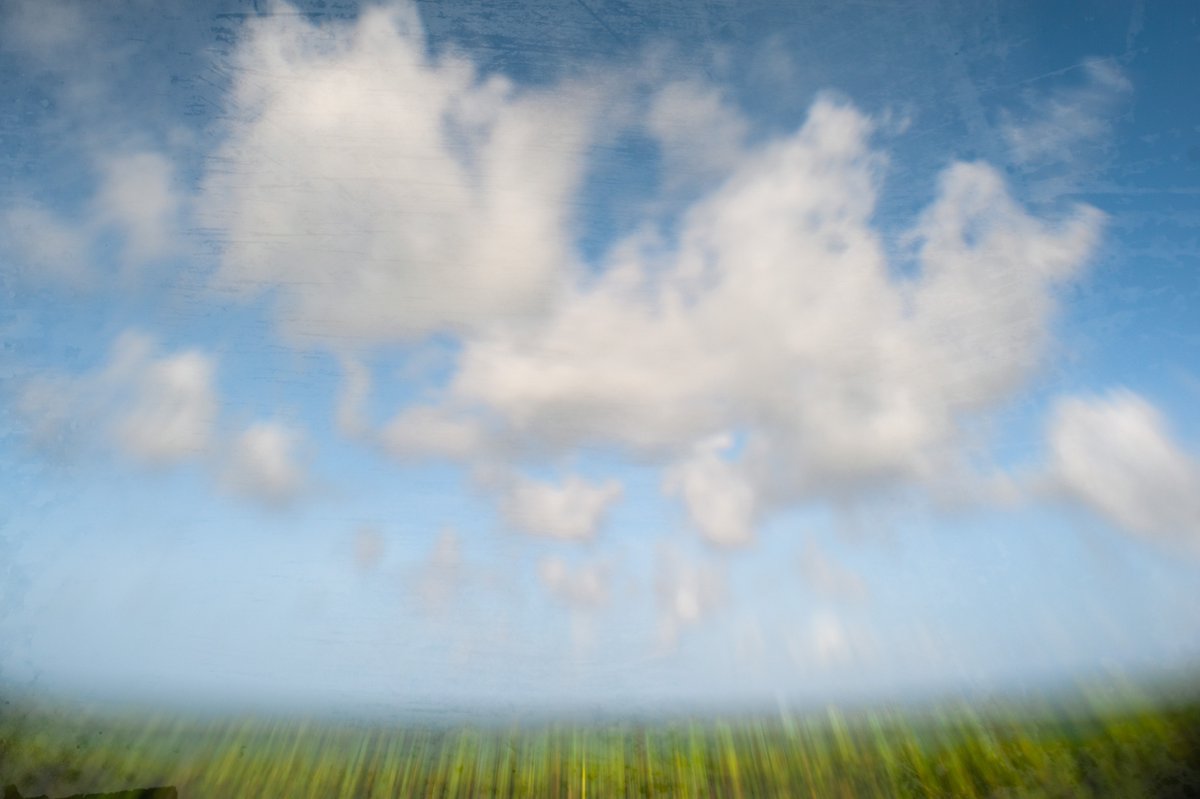 dailyinhale's tweet photo. "and sound is light..." #joyharjo #poets #quote #palmbeach #lensbabyathome #composerpro #sweetoptic https://t.co/rD11HojlqV