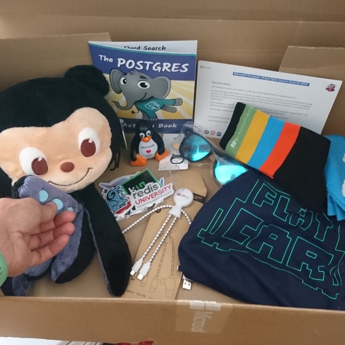 anderssonjohan's tweet image. Wifey now ready for the fall by winning the large box of swag on the MS Open Source Summit before summer 😍 #swag #developerlife