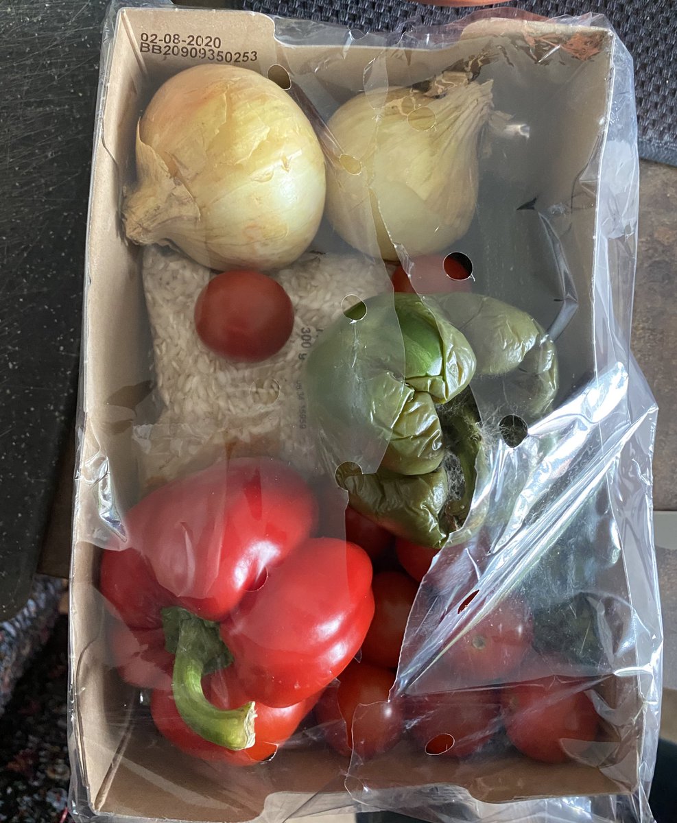 bregje_simons's tweet photo. @albertheijn gister gekocht, houdbaar tot vandaag. Ik haal de verpakking eraf en er vliegen twee vliegen uit. Paella anyone? https://t.co/cjenCiLXch