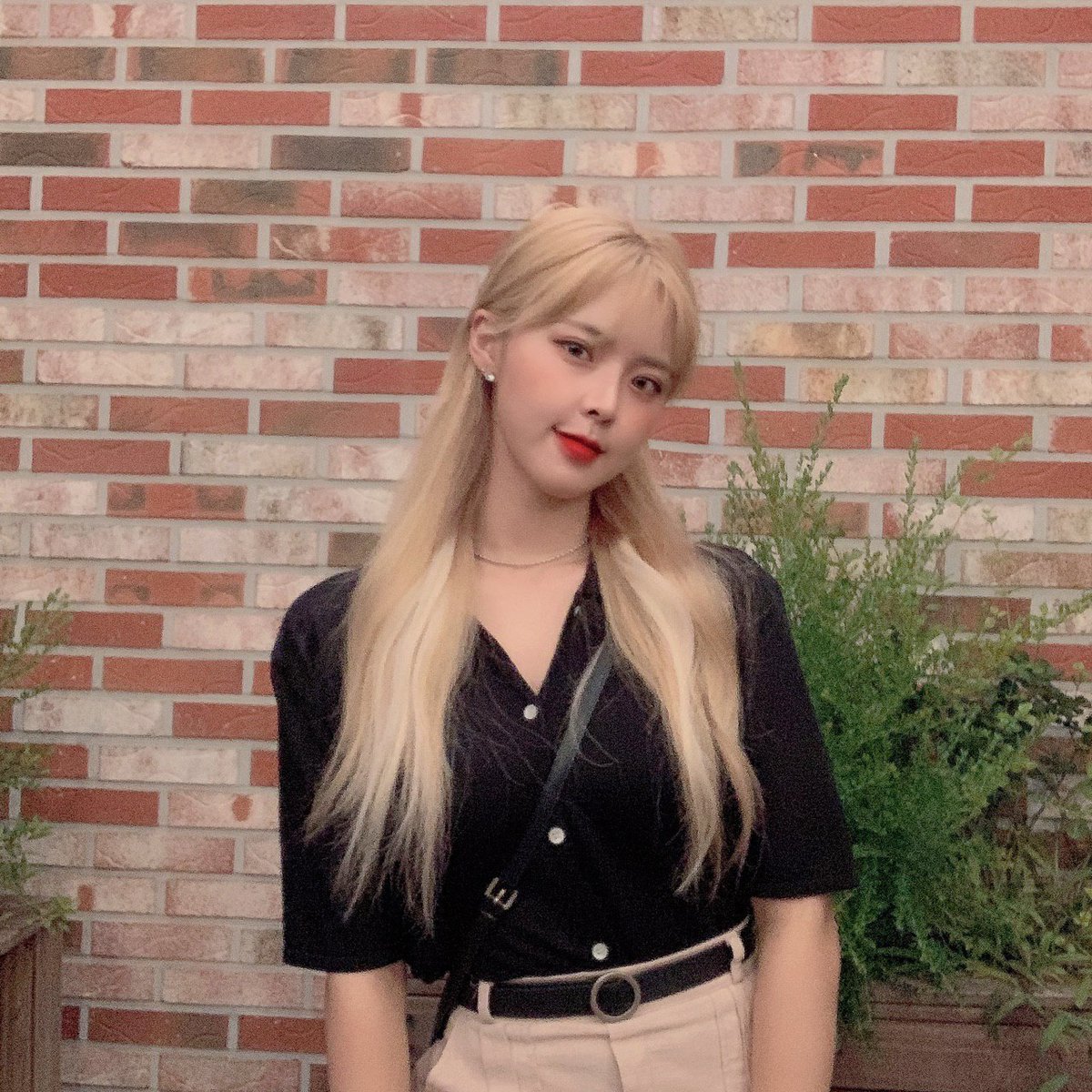 ANS_official tweet media