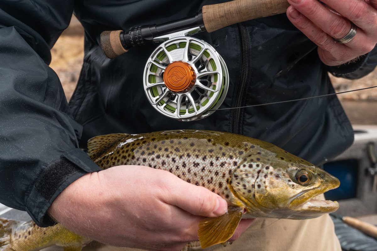 FlyRods_com tweet picture