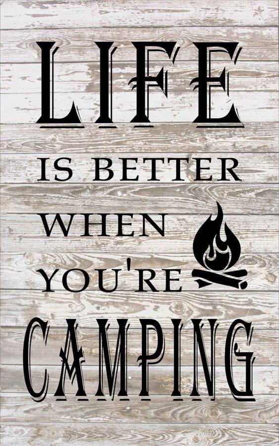 KampModoc's tweet photo. Absolutely!!!  Life is GOOD!!!

https://t.co/gJ5ELP71uk
 
@kampmodoc.com/

#kampmodoc #kampmodoclife  #indianacamping #funcamping #campingisfun #wherecampingisfun #familyfuncamping #lakefrontcamping #itsallabouthavingfun https://t.co/RDlv1pcR6u