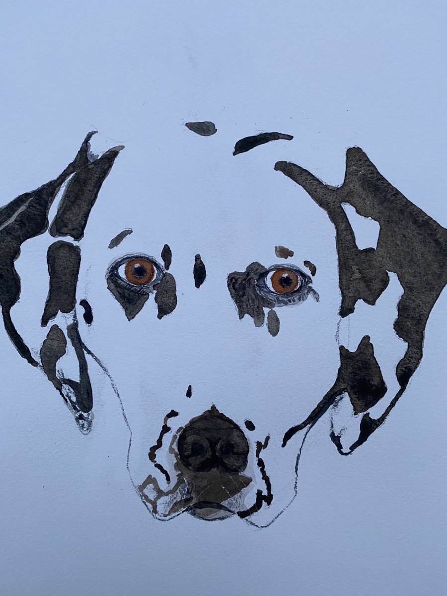 drgudrun1's tweet photo. #dogs #watercolor #akvarelle https://t.co/mkRILEW0VV