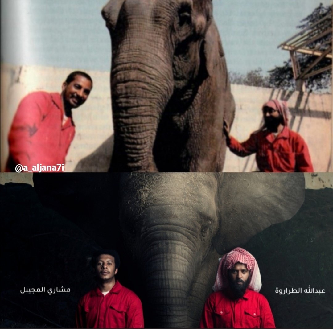 الصورة الحقيقية للأخوين سليمان والمرحوم علي الحوطي قبل ثلاثين سنة وبينهما الفيلة #عزيزة