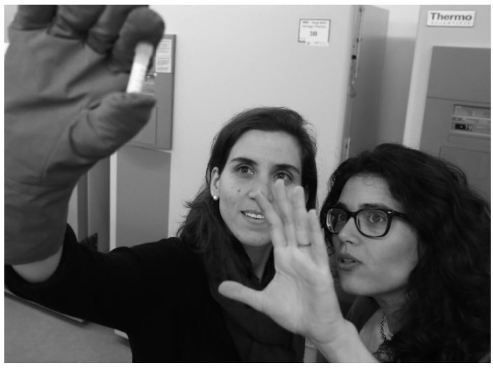 European Research Council (ERC) tweet media