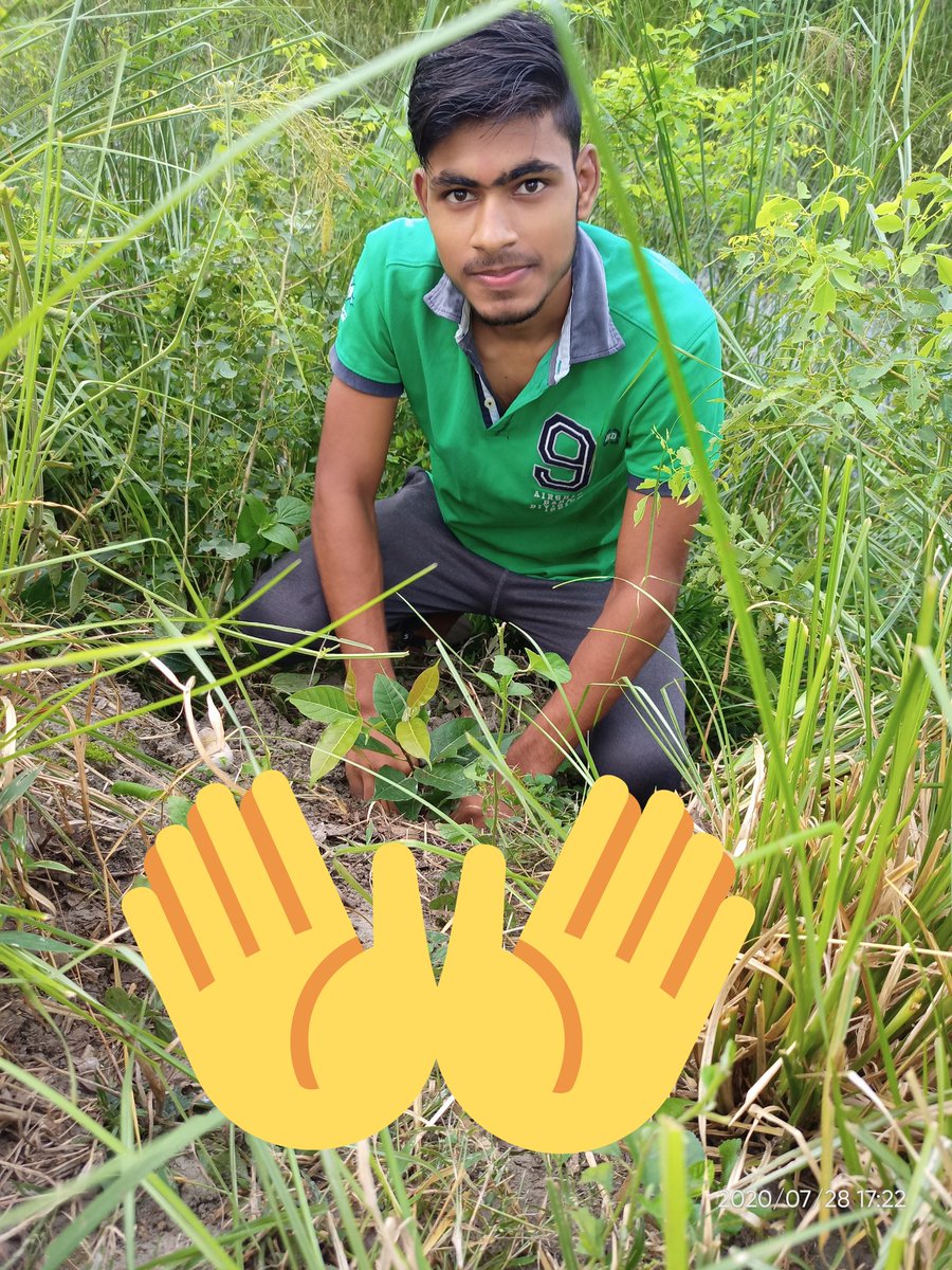 SachinK50373913's tweet photo. Your golden green chance to make the bond of an eternal friendship. This one will last all your life, and we'll help you be a great friend to your tree! Happy friendship's day everyone!
#friendshipwithtrees #BrightInspiresUs #mission100croretrees https://t.co/cOyf5SfeXa