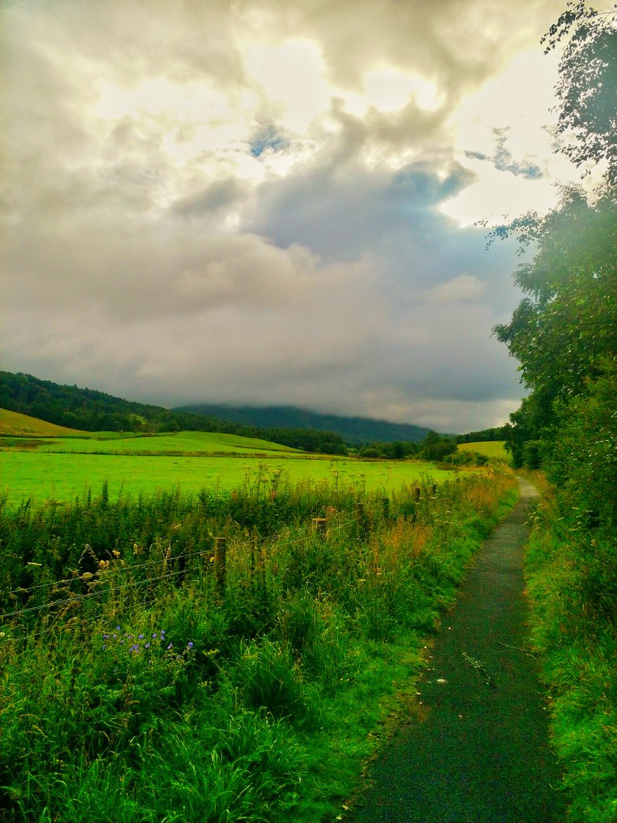 Another beautiful day out and about adding a few kms to the total...