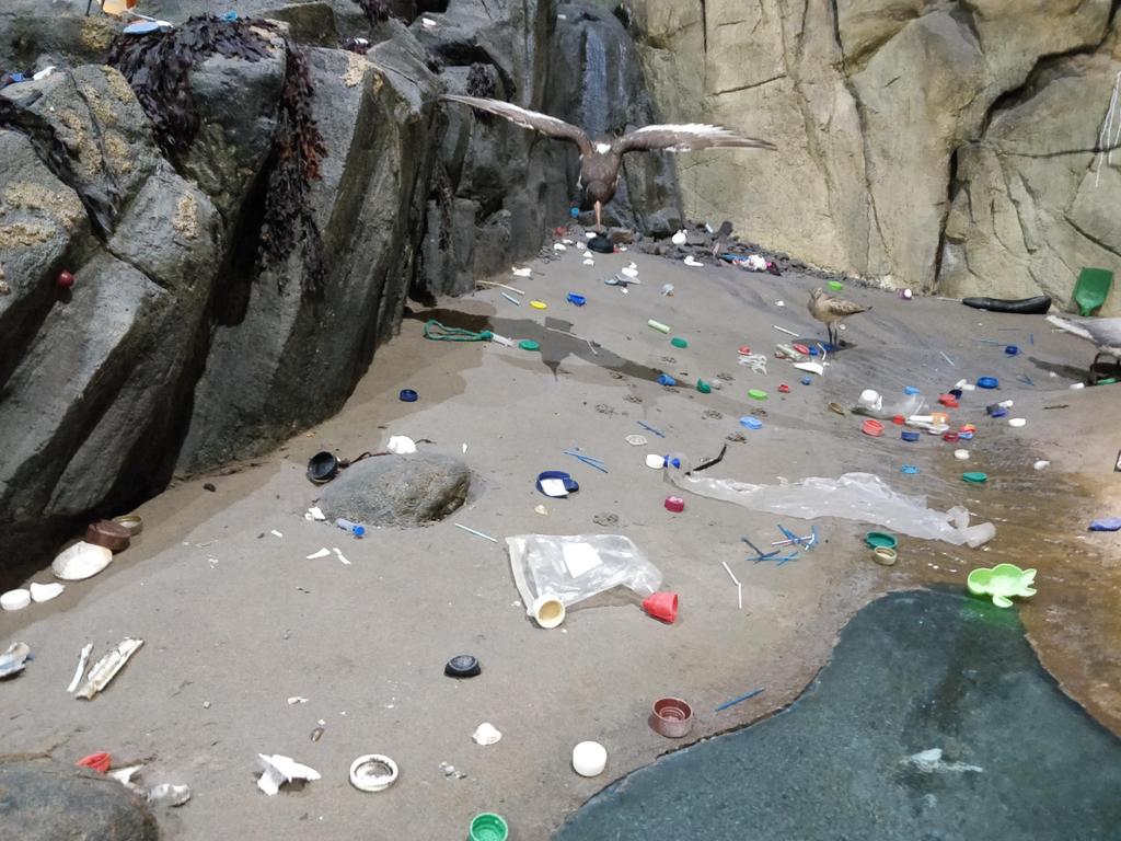 SarahYounan3's tweet photo. This week, 2 years ago, the youth forum took over @Museum_Cardiff natural science displays and filled them with beach plastic helped by @sascampaigns @NatHistConserve @HeritageFundCYM @HeritageFundUK #kichthedust #handsonheritage #museumtakeover https://t.co/nvABDH1pEy
