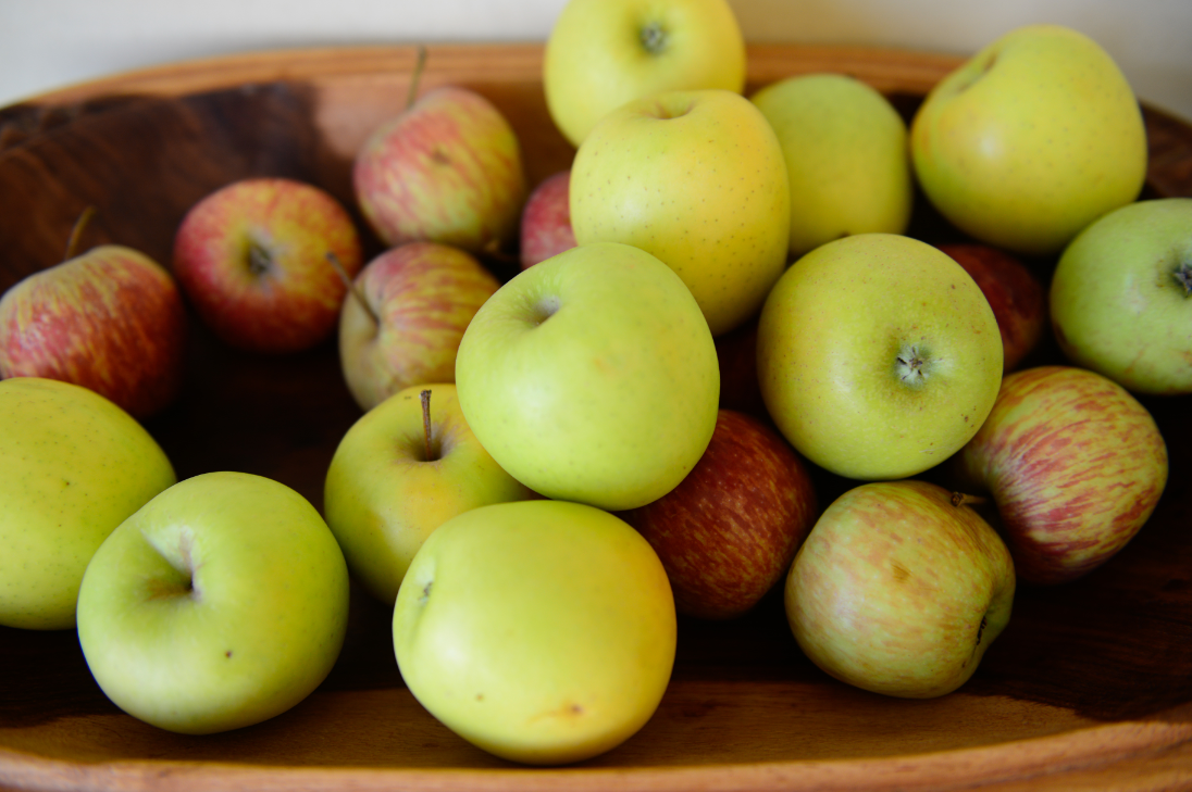 WHOAFRO's tweet image. Eating a healthy diet 🍎🍉🍌🥕🍆 has many benefits. It can help you:

✔️ maintain a healthy weight
✔️ limit total fat intake
✔️ increase consumption of fruit, vegetables, pulses, whole grains and nuts
✔️ limit the intake of free sugars and salt