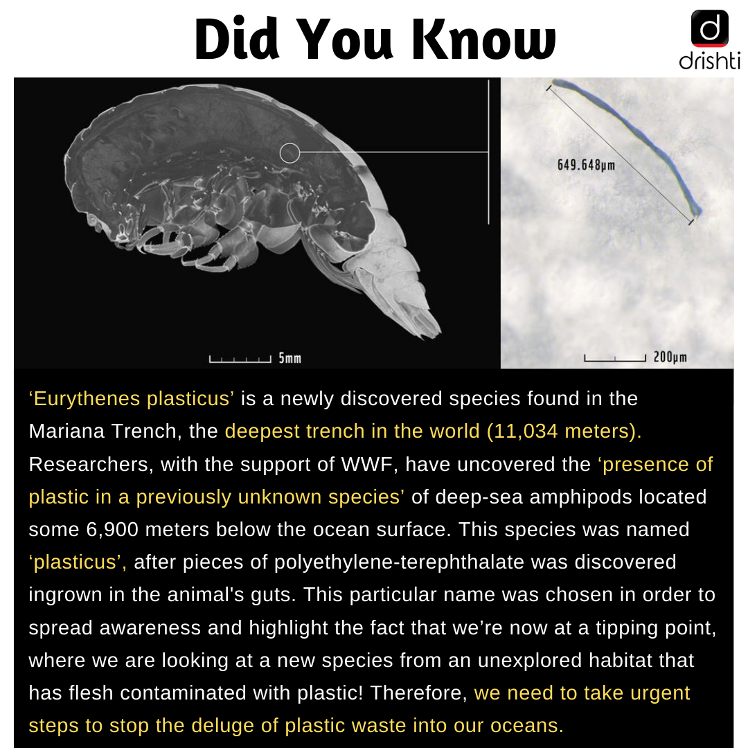 drishtiiaseng's tweet photo. Did You Know?
Drishti IAS - English, brings you this segment for improving your general knowledge. Remember these hand-picked facts for Prelims & Mains. Follow us for more updates!
#didyouknow #UnknownFacts #UPSCFact #UPSC #UPSCexams #IASexams #DrishtiIASEnglish https://t.co/oTOGBEYI62