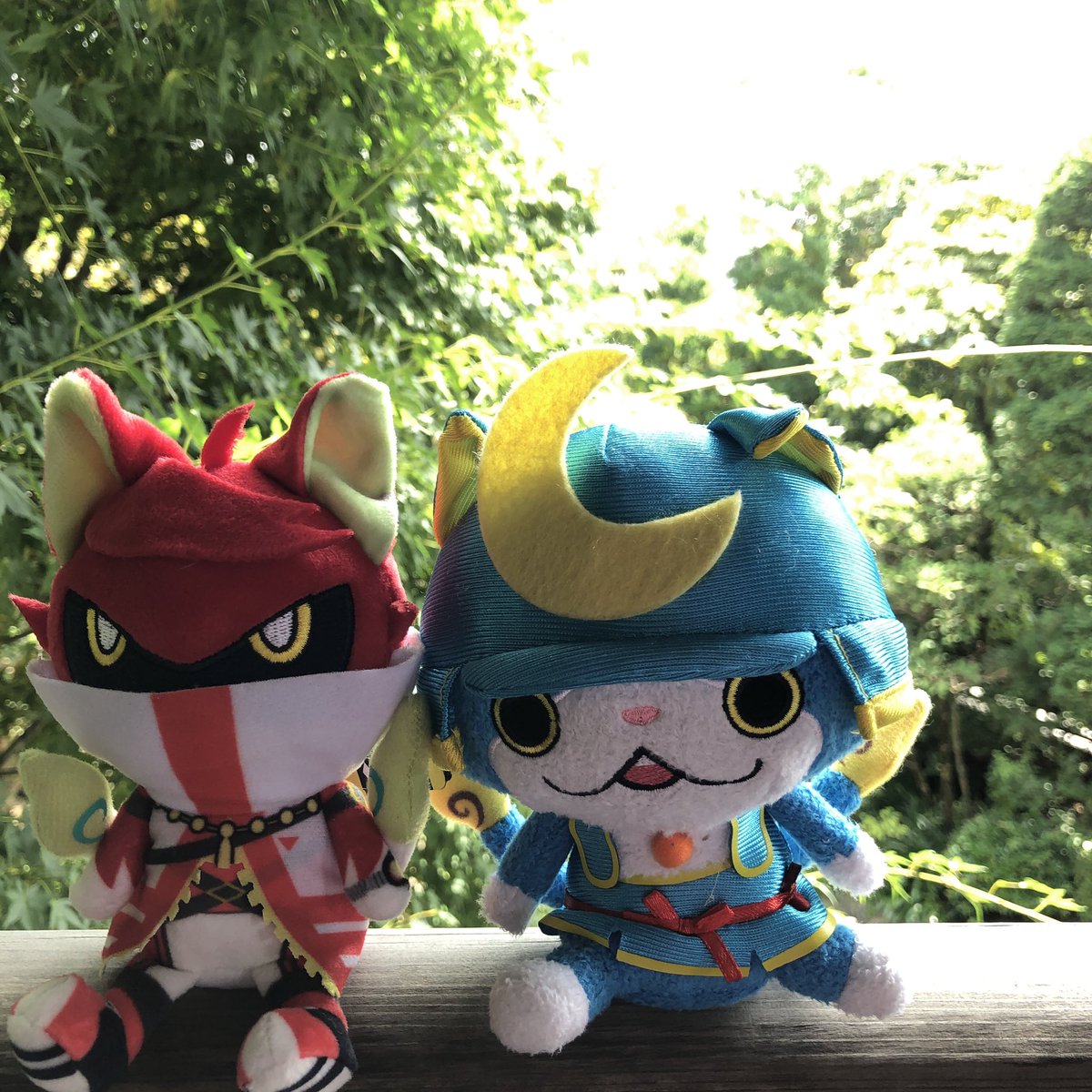 Hashtag 96 8b A3 Sur Twitter