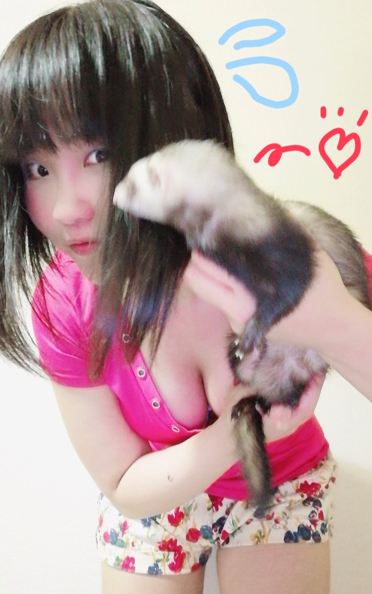 sekky_animals's tweet image. 《Sekky》ファーストキッチン久しぶり♥関東にしかないと思ってた‼️

《Mell》ママ、短大生の頃お世話になったもんね🎶赤坂だから、学生向けの店、ココしかなかったでちゅもんね💦

《Sekky》何故知ってる⁉️

《Mell》ママ〜！メルにも頂戴♥

《Sekky》駄目だよ〜💦😓

#フェレット #FirstKitchen