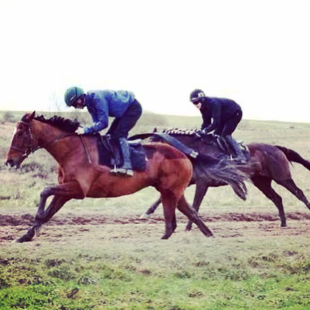 Let’s hope he has good balance <a href="/nysfitter/">yorkshiresaddlefitter</a> #nysfitter #racing #tb #checkthegirthbeforeyougeton #yorkshire #saddles #saddleftter