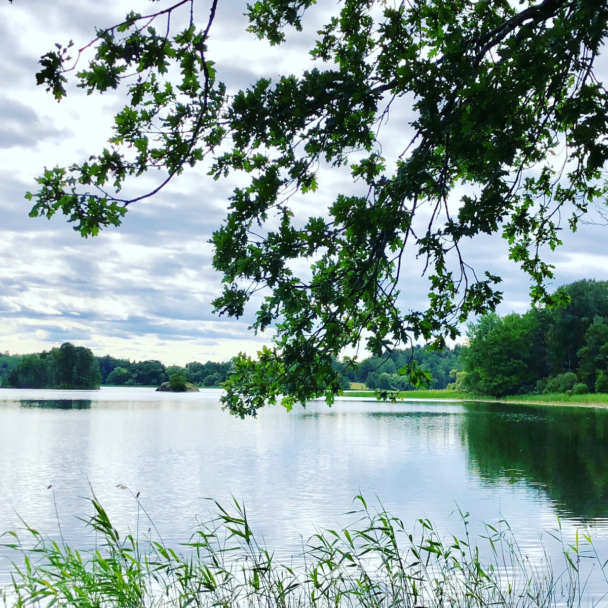 AmbVWD's tweet photo. Après un #tourdeFrance magnifique découvrent parmi les plus beaux endroits de France - de retour en #Suède ses forêts, ses lacs, la lumière nordique et le soleil continue à être de la partie - pas si mal non plus...😉 🇫🇷🇸🇪
 #tourism @visitsweden @visitstockholm https://t.co/ltbzKzz8vo