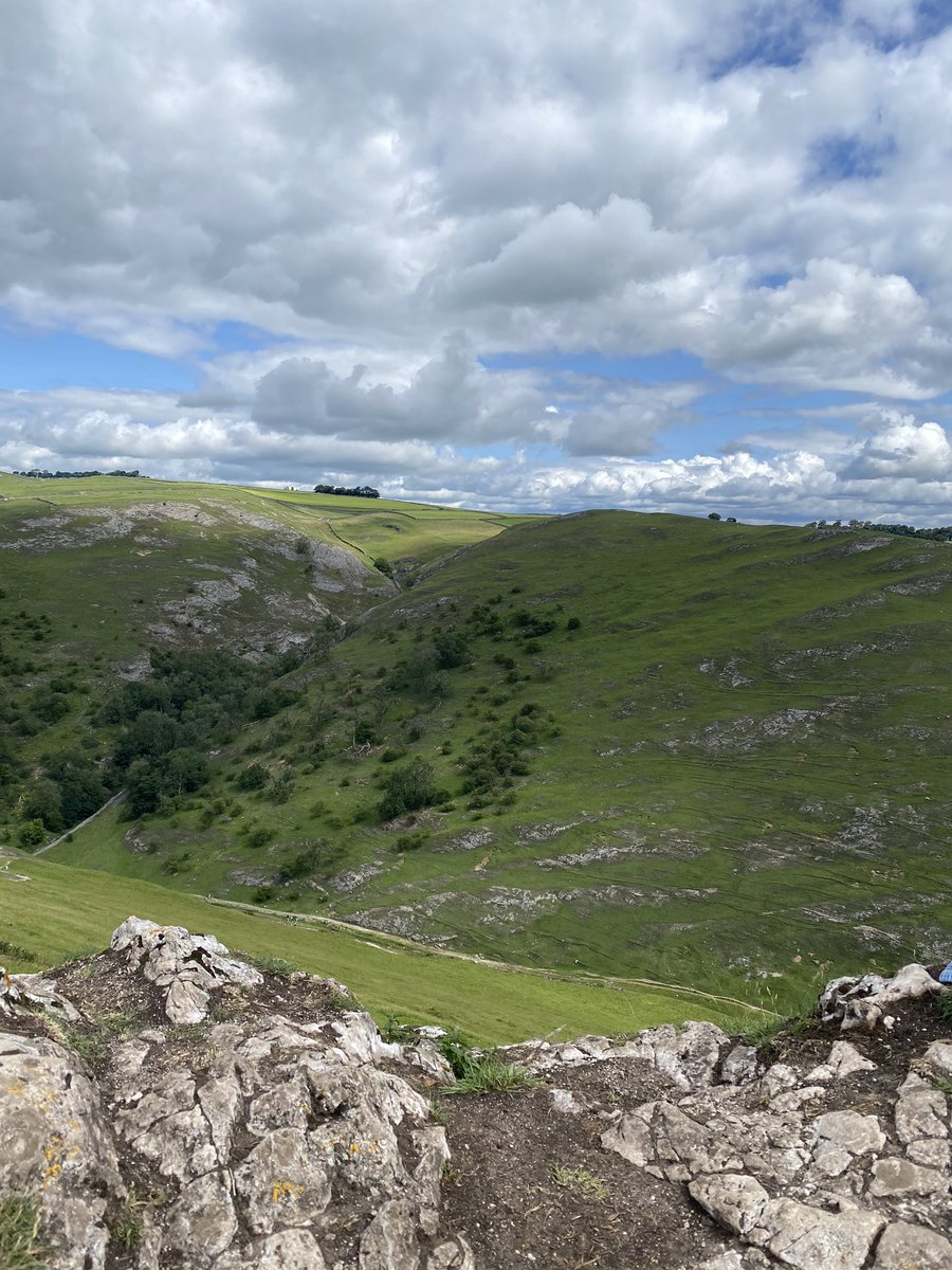 DofEChellaston's tweet photo. Decided to bring them a “little” walk up Thorpe Cloud ☁️ ⛰ ☀️ https://t.co/PohnYu5dd6