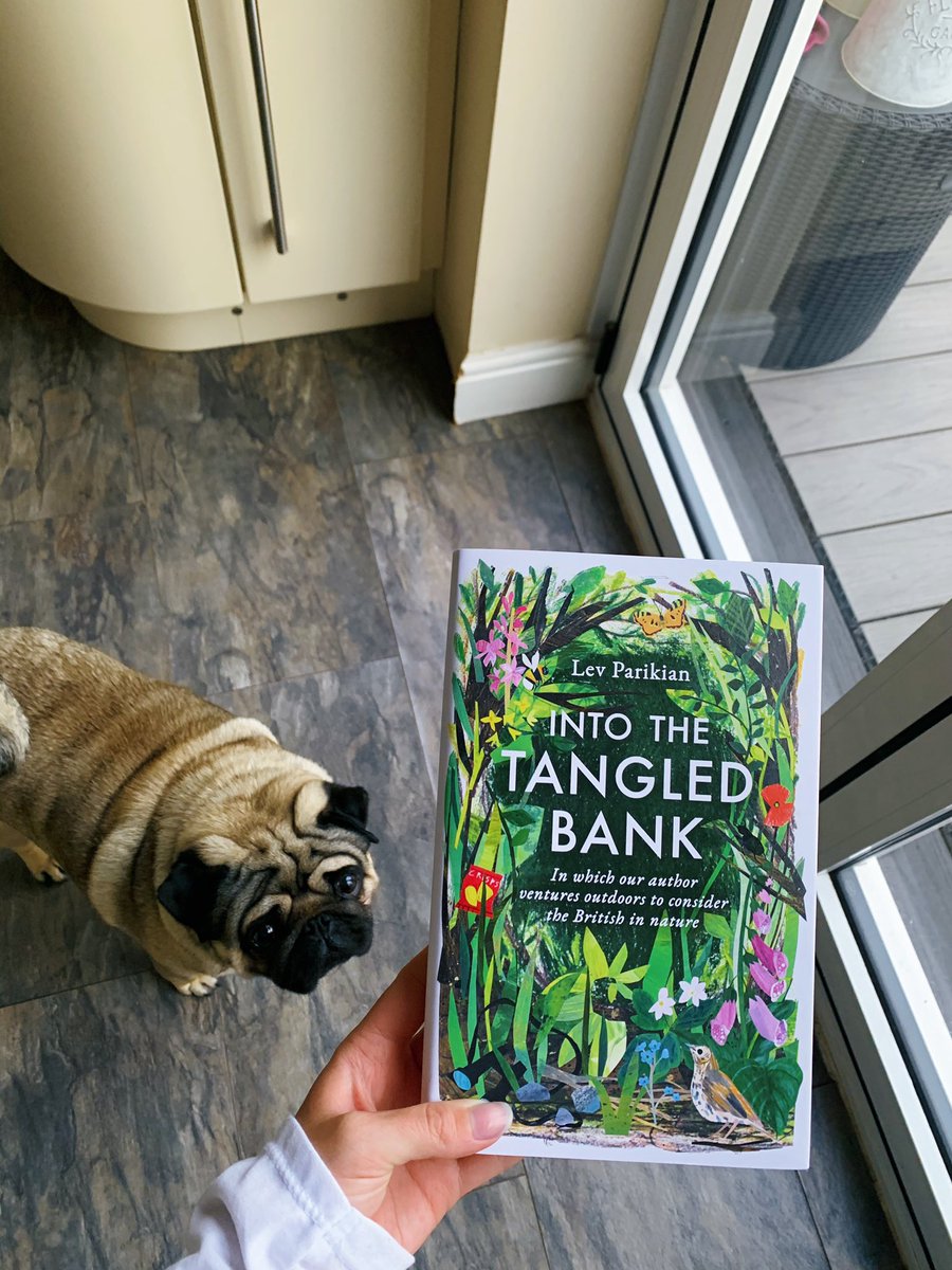 Yay to new books! Especially ones with covers this pretty!! <a href="/LevParikian/">Lev Parikian</a> <a href="/Waterstones/">Waterstones</a>