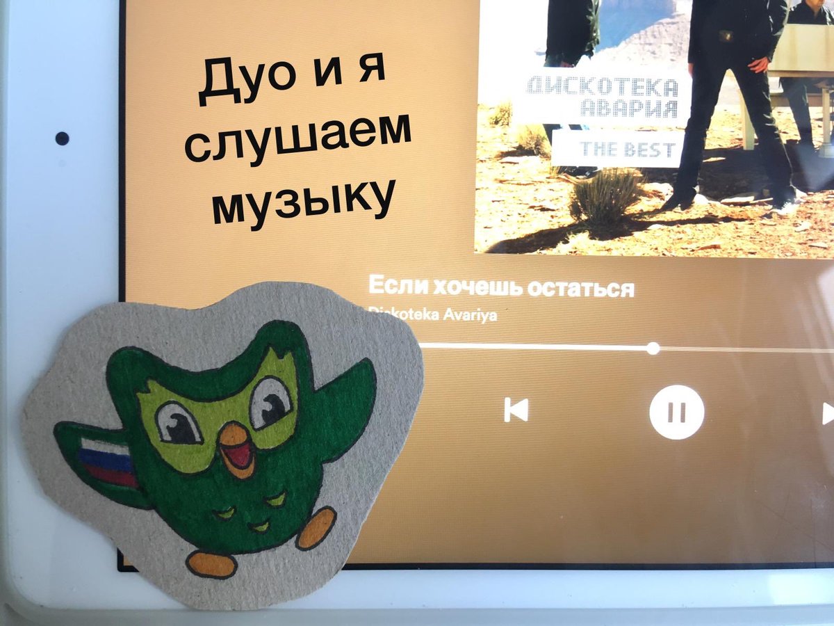 vroni_rh's tweet photo. @duolingo #campduo https://t.co/W5VpniHbTL