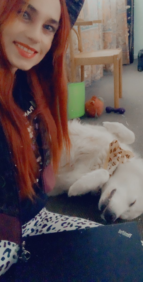 BeeBabette's tweet photo. I've submitted my #thesis! :O
#phd #thesis #submitted #bees #beebaette #zephyrthemaremma #supportivedoggo #magnumopus #exams #academia https://t.co/OVwp2Wcs7f