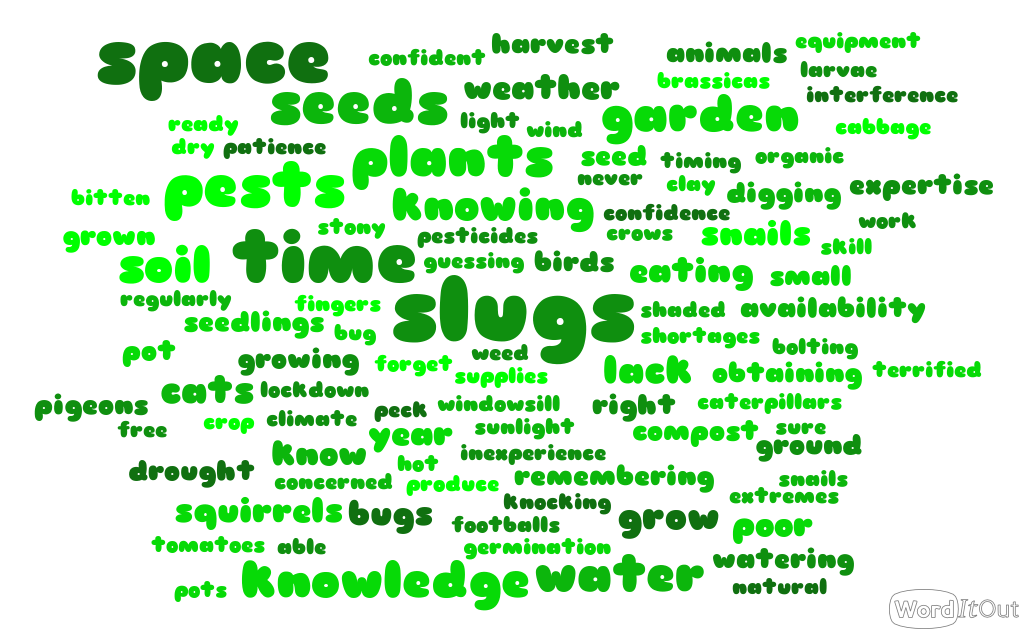 FoodSmiles St Albans tweet media