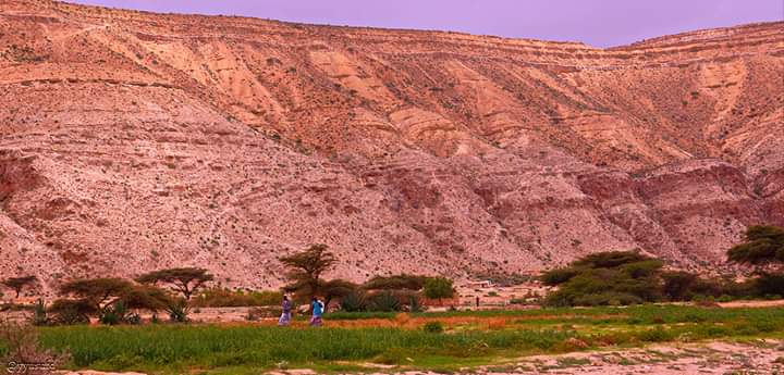 yyusufd's tweet photo. From Dayaxa Daalo Bullahar to Shalcaw, the historic land of our great nation of #Somaliland https://t.co/ZvNMxLRaCS