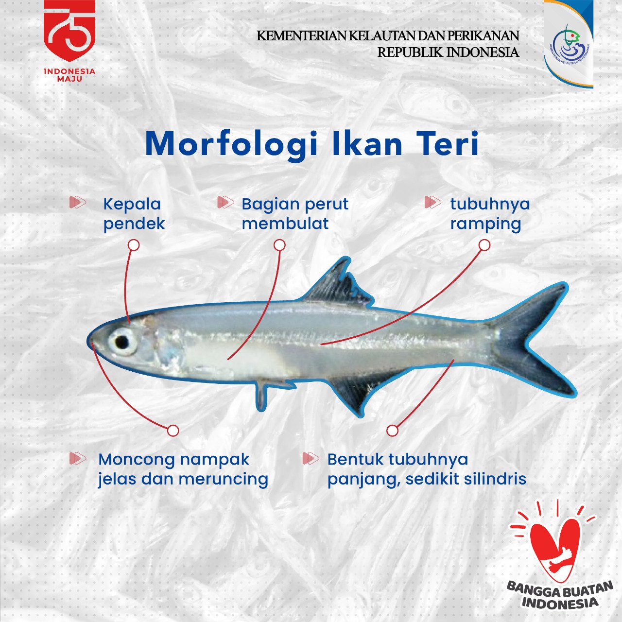 Ikan apa yang banyak mata