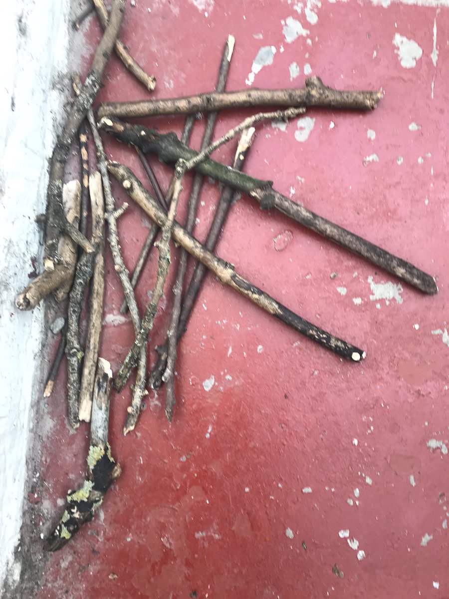 mslbrewis's tweet photo. .@SchoolOfLanguag cleaned the car and uncovered a stick mountain.
#stickboy #stickgirl #stickstickstickstick #loadsoffuckingsticks https://t.co/QPt4WgQvTy