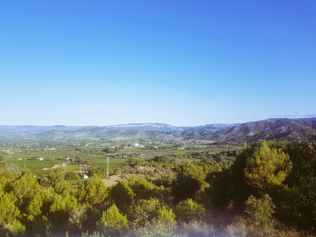 EloiXg's tweet photo. Si pujo fins aquí almenys que també ho pogueu veure 🚵♂️ #MiradorDeFalset #vistes #35graus #Priorat https://t.co/HgCHbAzbJY
