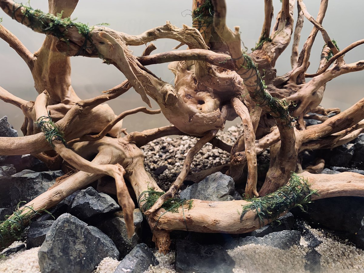 ᡕᠵ ᡃ ᡁ 𐡏 Petter ちなみに素材のレイアウトはこんな感じ 今回は植栽スペースにadaのパワーサンドも入れました